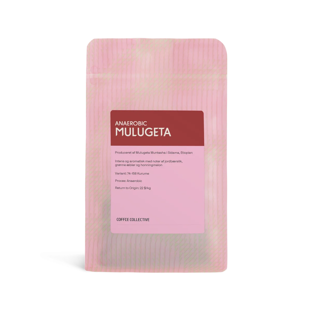 Mulugeta Anaerobic