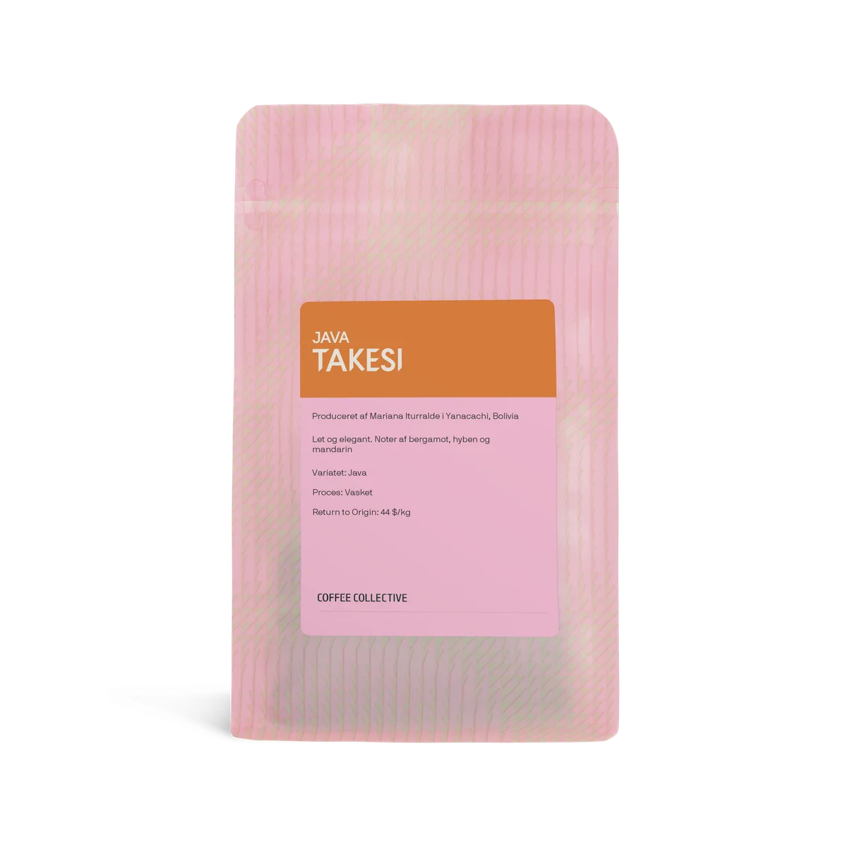 Takesi Java