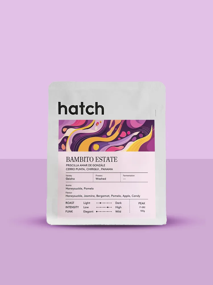 Bambito Estate Geisha Washed