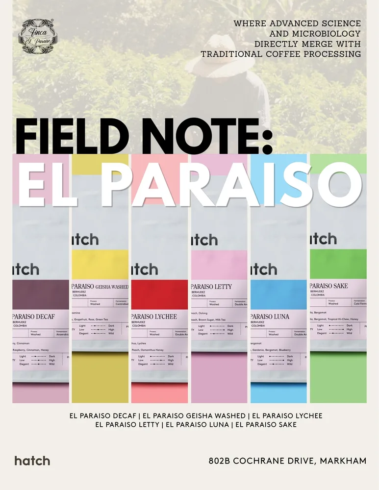 FIELD NOTE: Vol 01—El Paraiso — as sold by Hatch Coffee