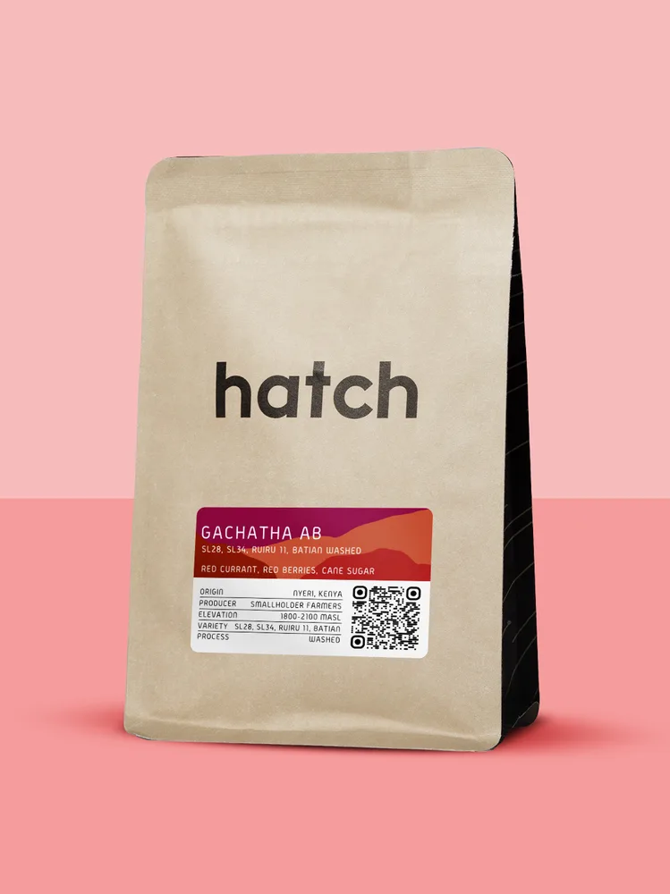Gachatha AB Washed