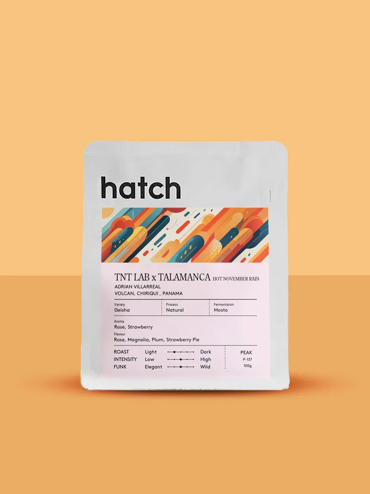 TNT Lab x Talamanca Hot November Rain Geisha Natural