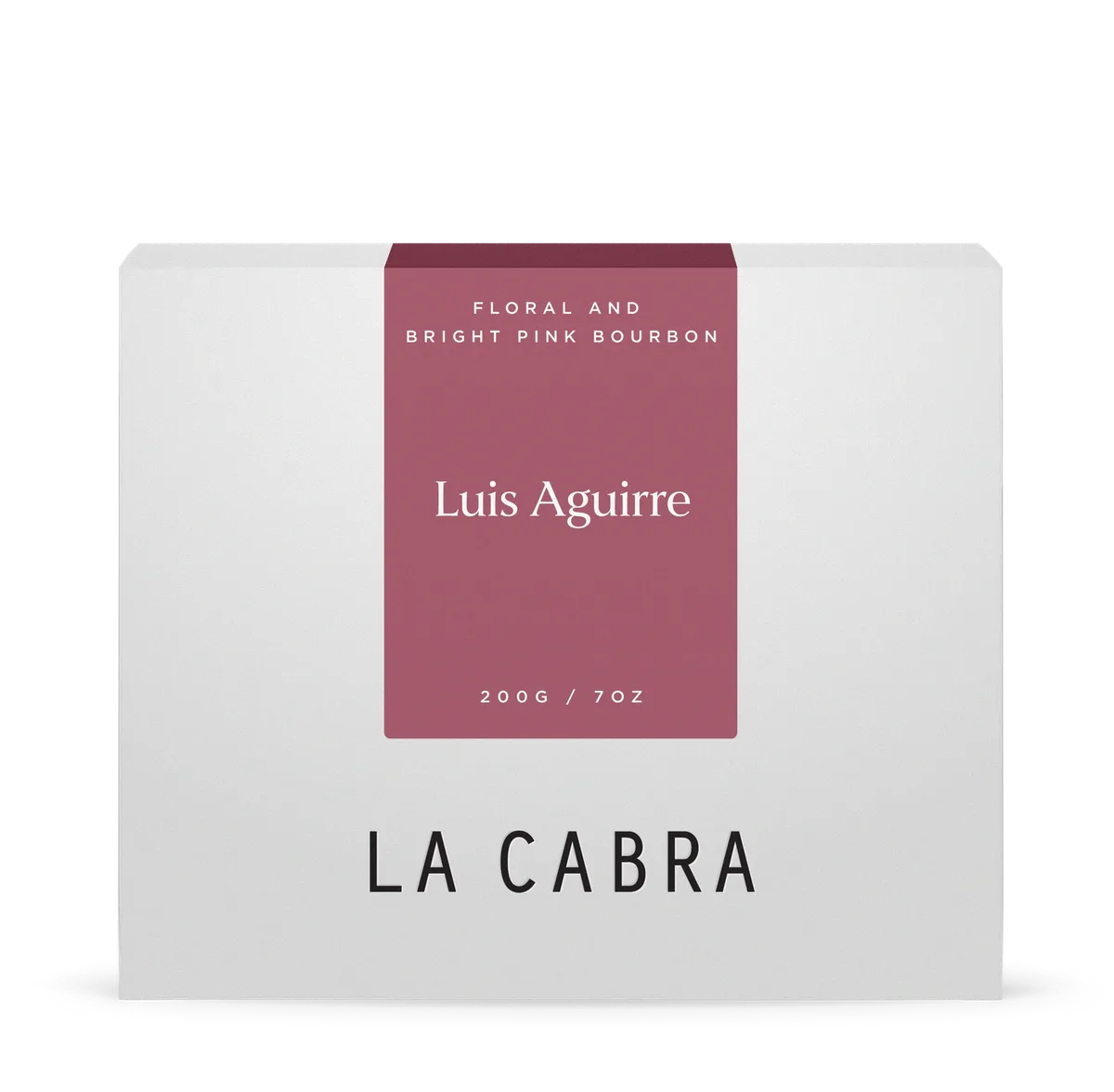 Luis Aguirre