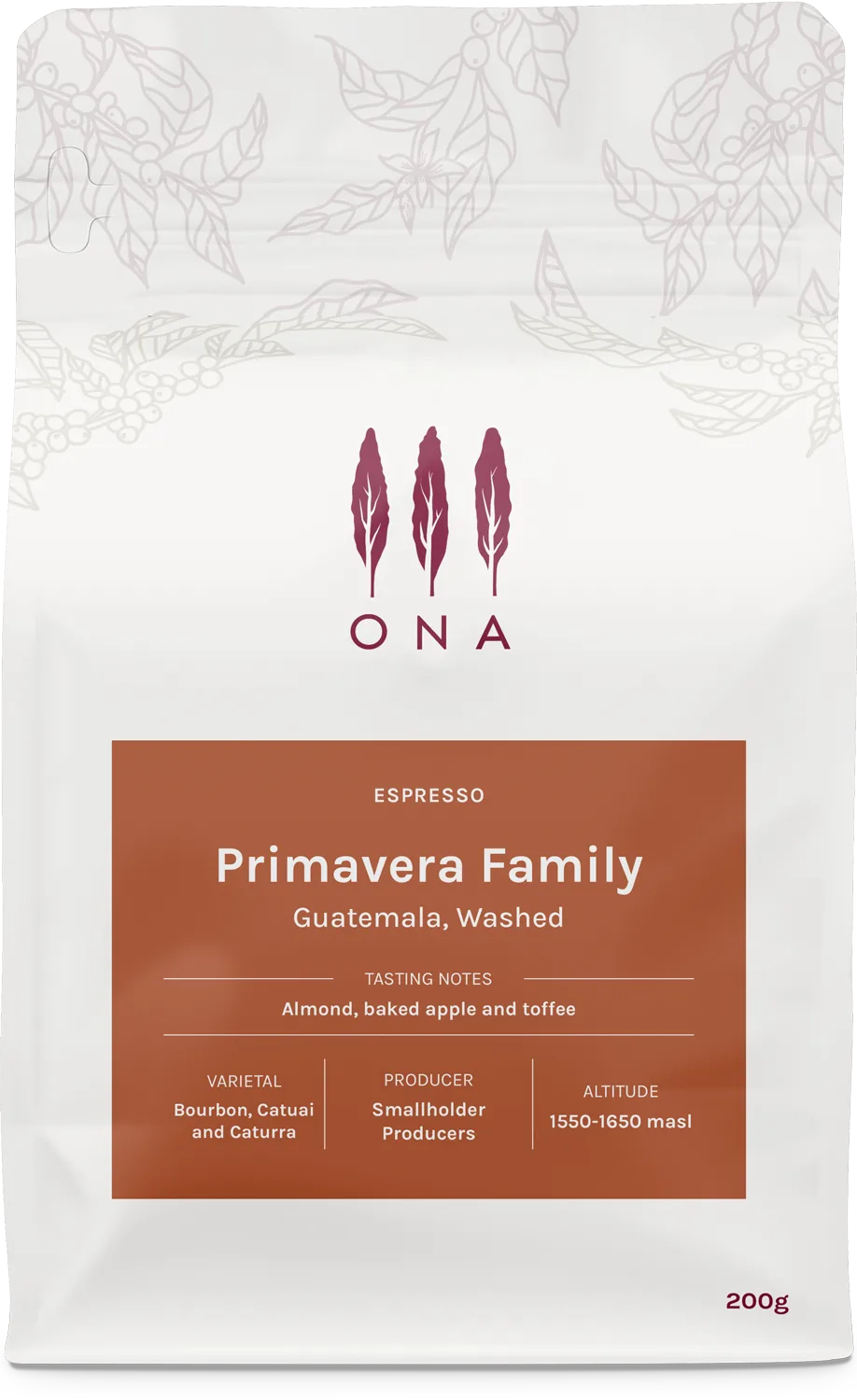 Primavera Family