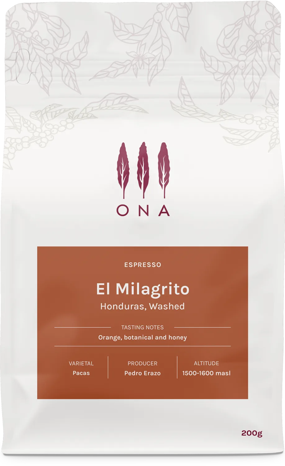 El Milagrito