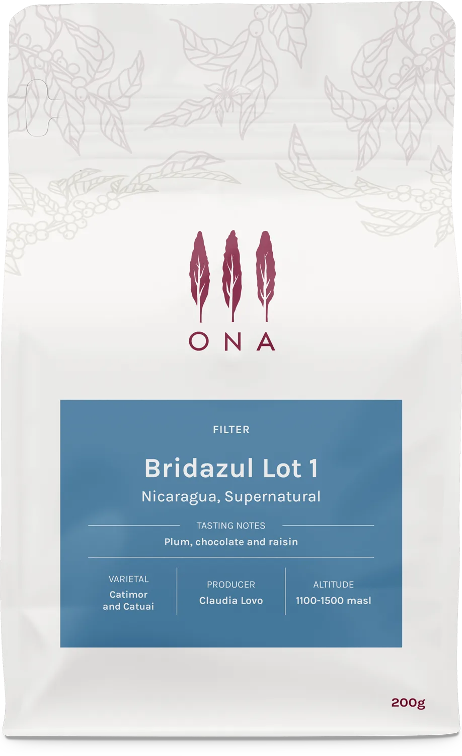 Bridazul Lot 1