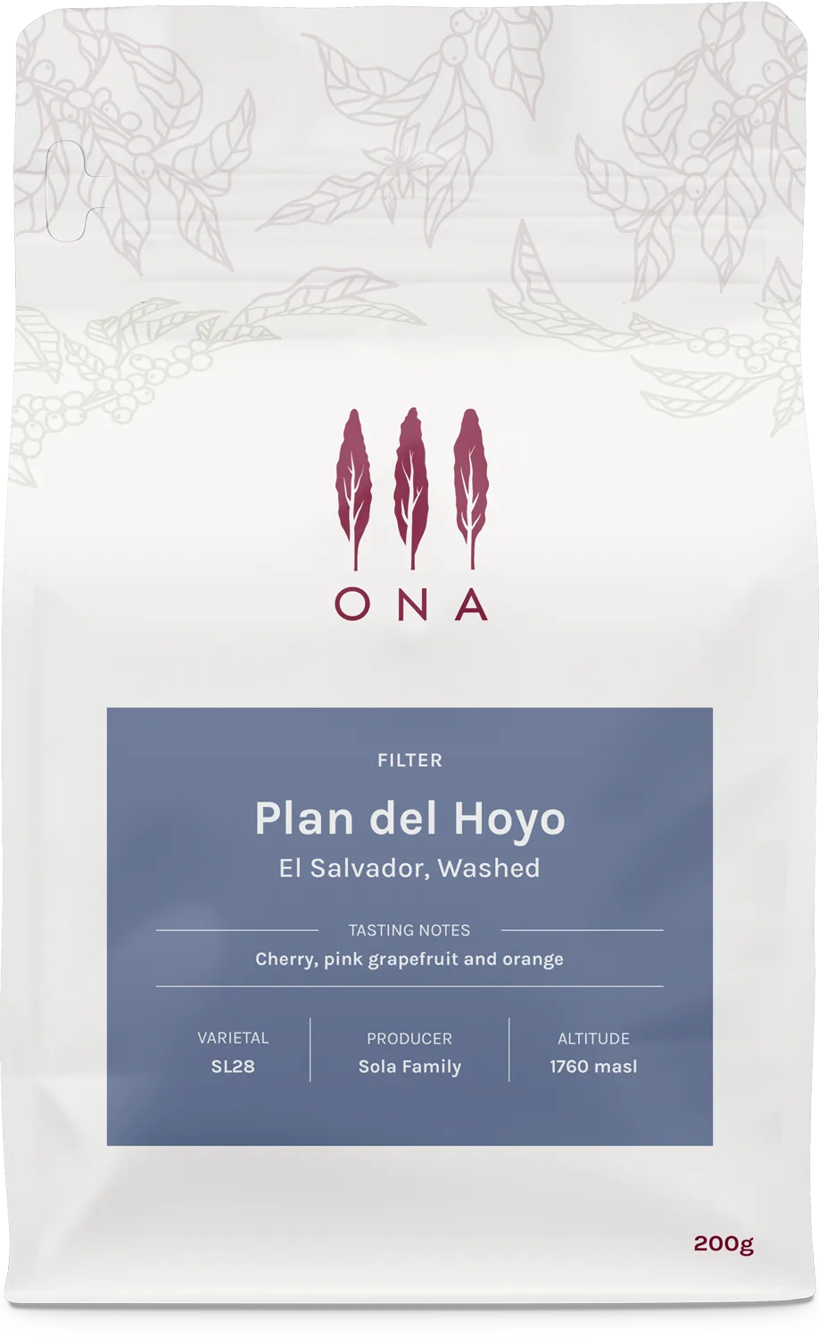 Plan Del Hoyo