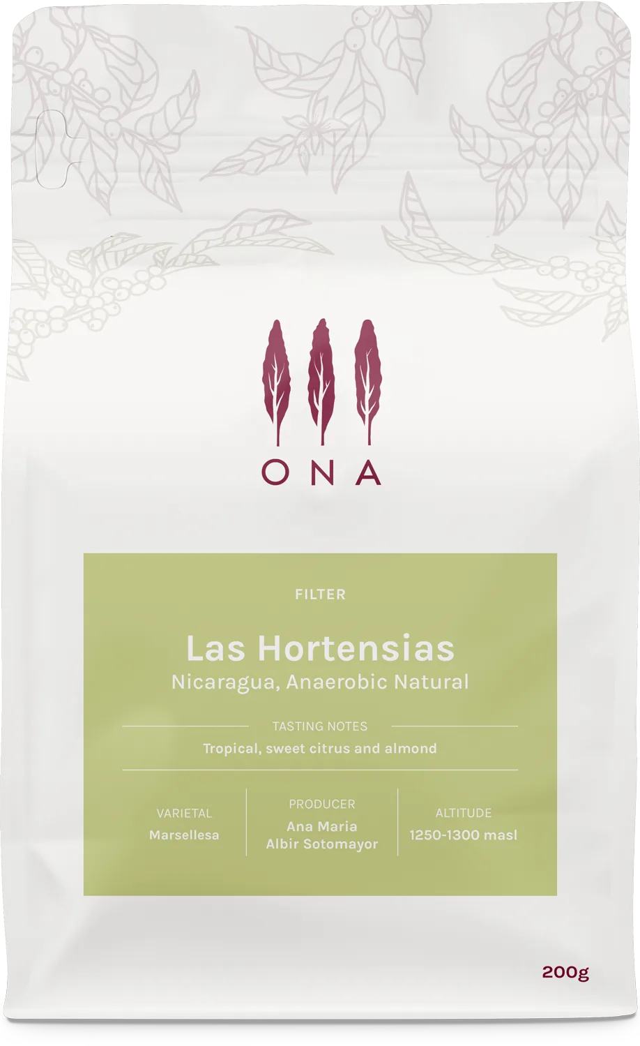 Las Hortensias